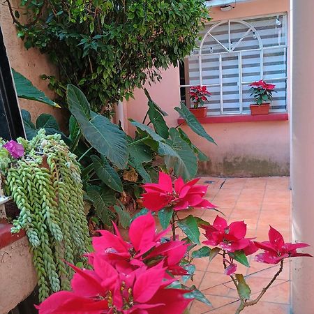 Relax Apartamento Cidade do México Exterior foto