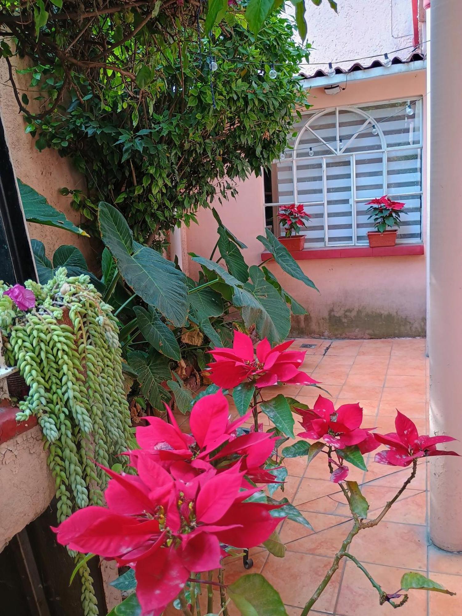 Relax Apartamento Cidade do México Exterior foto